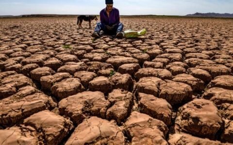 Morocco heatwave kills more than 20 people in 24 hours